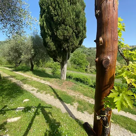 Dimora Bella Civita Bagnoregio
